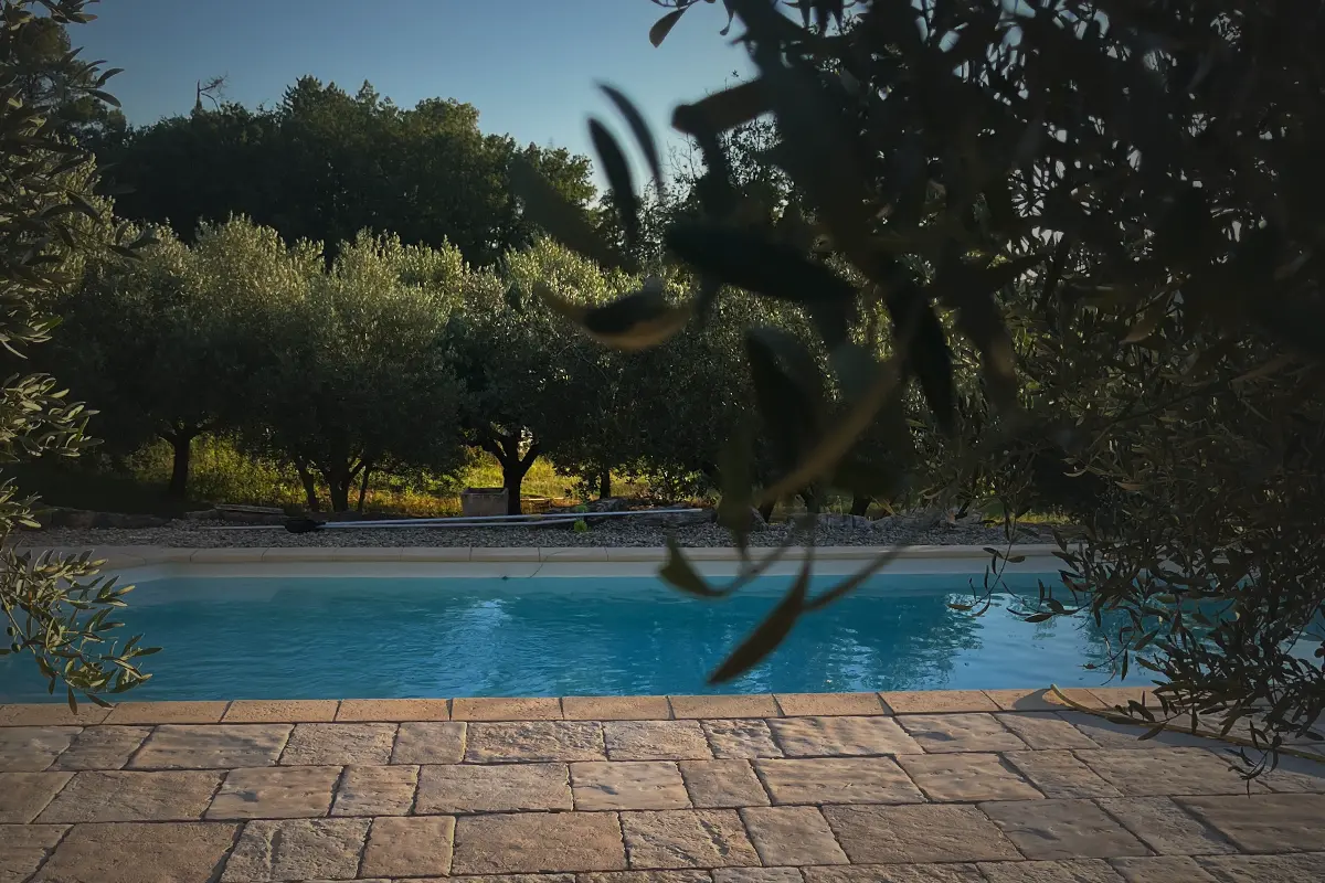 Piscine du domaine, au calme face aux oliviers